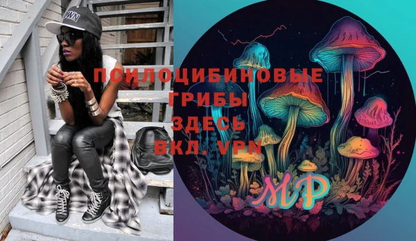 ГАЛЛЮЦИНОГЕННЫЕ ГРИБЫ Аркадак