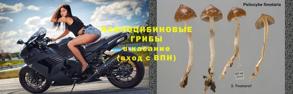 MDMA Premium VHQ Арсеньев