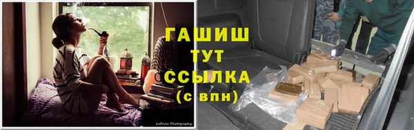 ГАЛЛЮЦИНОГЕННЫЕ ГРИБЫ Аркадак