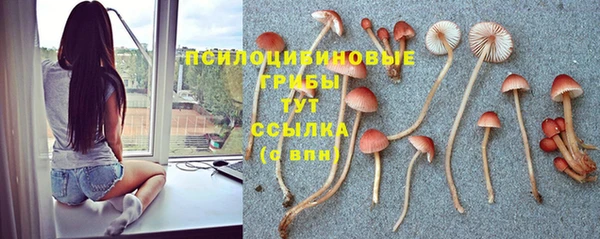 MDMA Premium VHQ Арсеньев