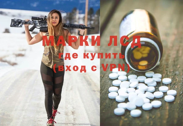 ГАЛЛЮЦИНОГЕННЫЕ ГРИБЫ Аркадак