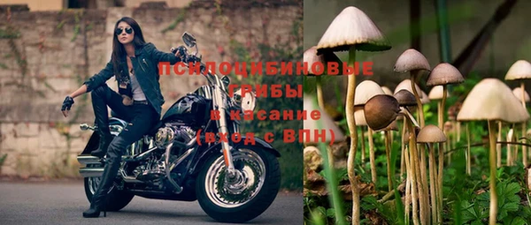 ГАЛЛЮЦИНОГЕННЫЕ ГРИБЫ Аркадак