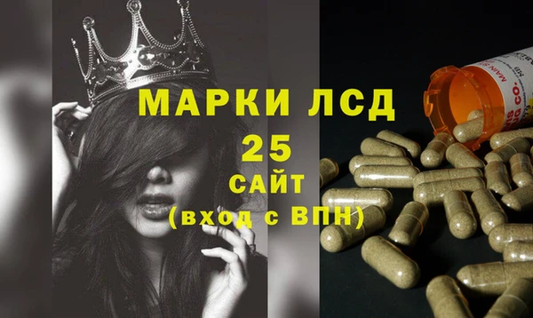 ГАЛЛЮЦИНОГЕННЫЕ ГРИБЫ Аркадак