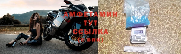 ГАЛЛЮЦИНОГЕННЫЕ ГРИБЫ Аркадак